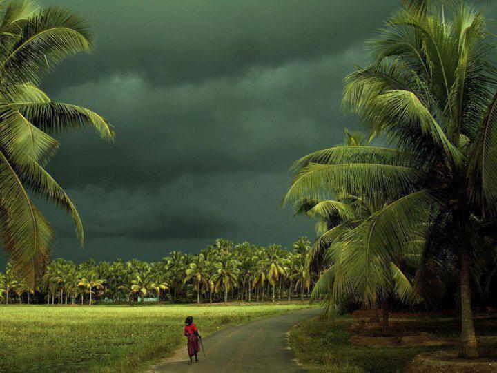 Oceana Hills Residency Hotel Alappuzha Luaran gambar