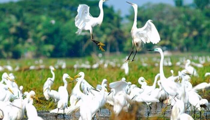 Oceana Hills Residency Hotel Alappuzha Luaran gambar